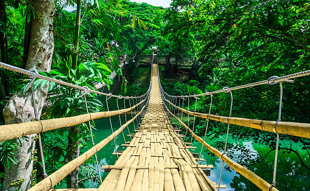 puente colgante de bambú sobre el río en el bosque tropical - ee fotografías e imágenes de stock