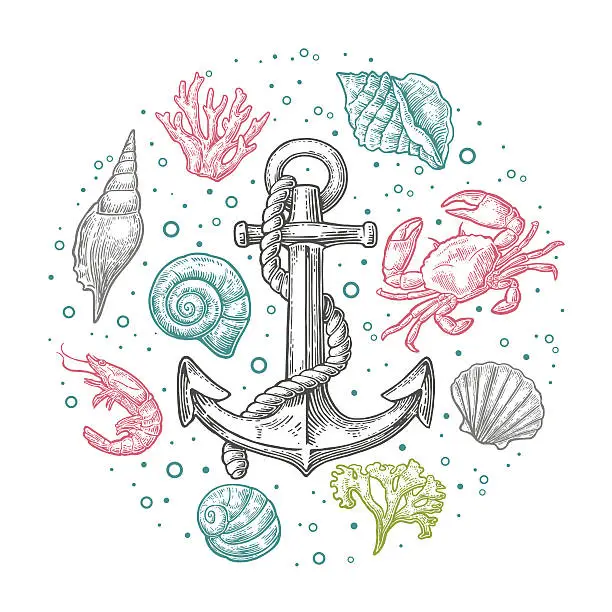 Vector illustration of Set sea shell, coral, crab, shrimp and anchor.