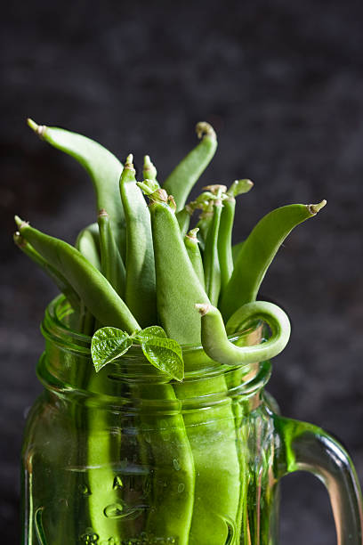 Fresh green bean from organic urban farming stock photo