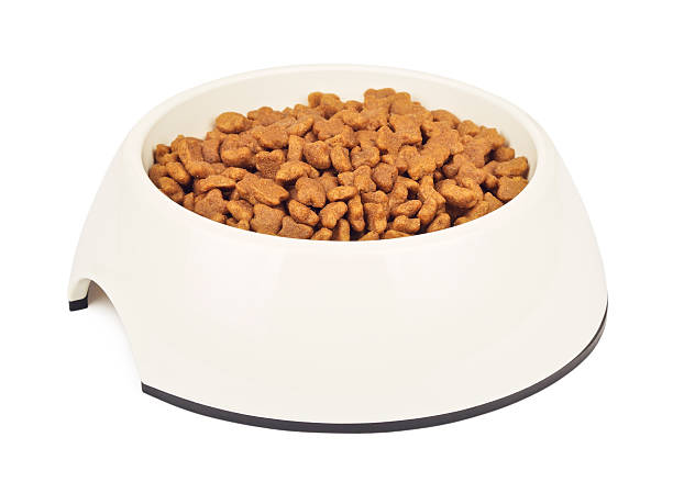 istock Dry Cat Food In White Bowl 579438340