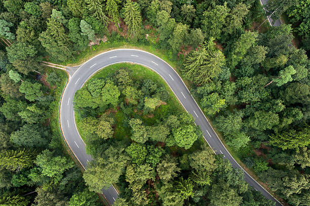 istock Road curve in the forest. Aerial view. 579439664