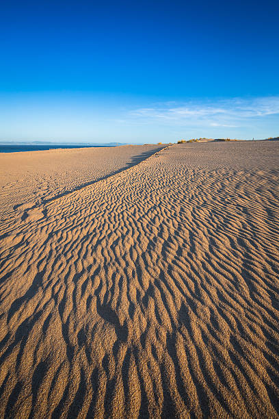 istock Dune of Punta Paloma, Tarifa, Andalusia, Spain 579442076