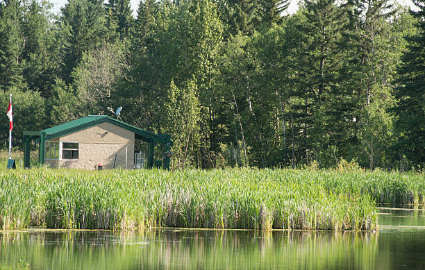 istock Camping area Elk Island National Park, Alberta, Canada 579443808