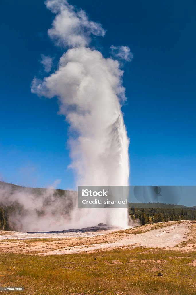 Old Faithful A wide shot of Old Faithful at Yellowstone National Park. Old Faithful Geyser Stock Photo