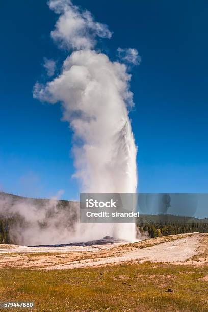 Old Faithful Stock Photo - Download Image Now - Old Faithful Geyser, Yellowstone National Park, Brown