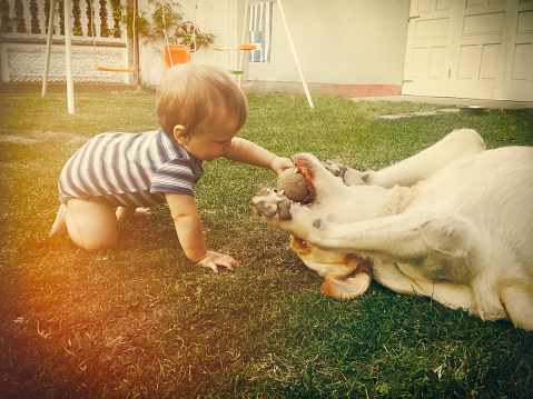 Cute baby boy is playing with his dog in the backyard. Candid moment, retro toned, grain and vignette applied.