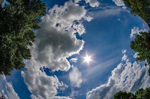 Clouds, Sky, & Trees appear to circle the sun in this fisheye view