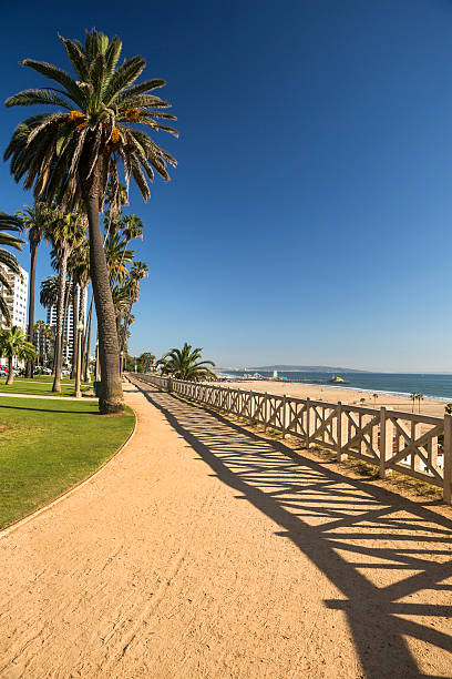 istock Santa Monica beach California 579739450