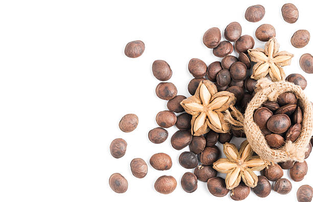 capsula frutta secca semi di alexander-inchi di arachidi - peanut bag nut sack foto e immagini stock