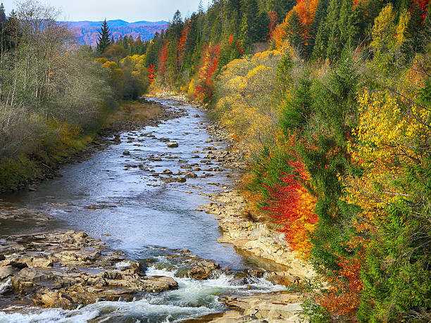 istock Autumn creek woods  and rocks in forest mountain. 579743674