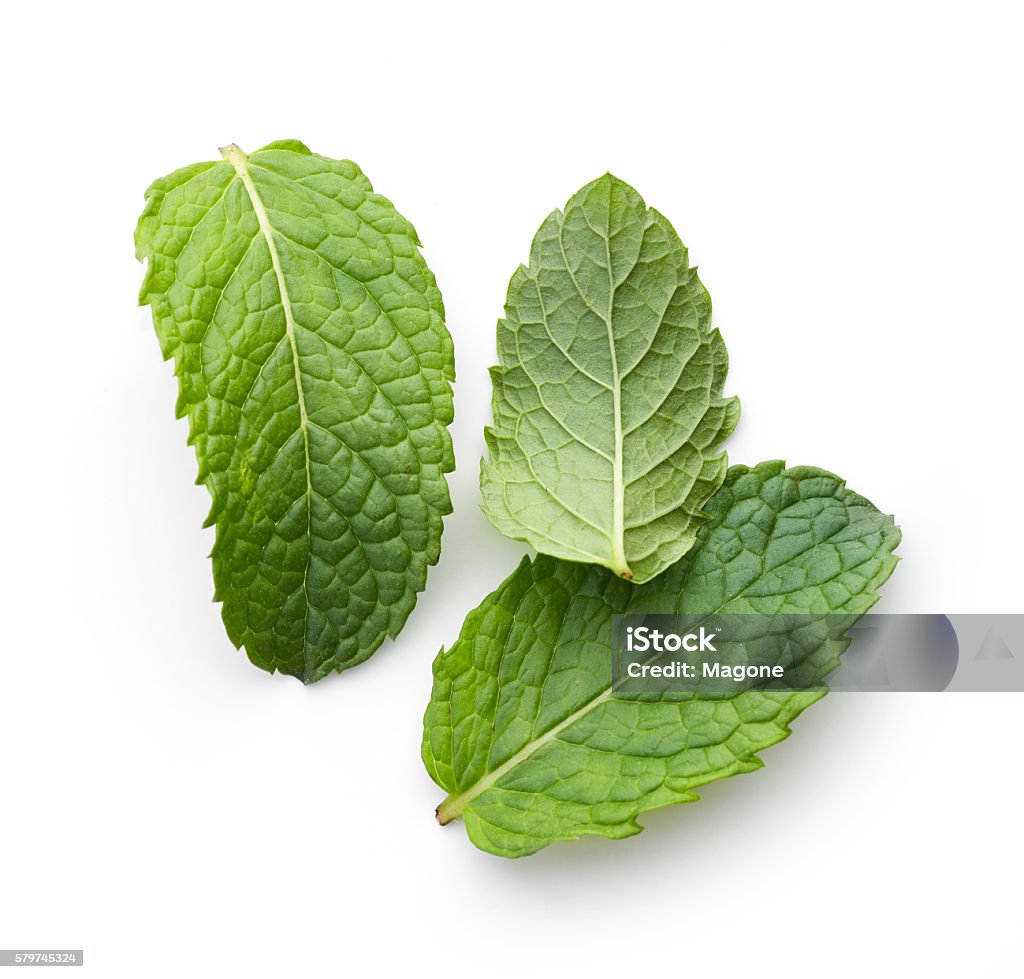 Fresco verde foglie di menta - Foto stock royalty-free di Menta - Erba aromatica