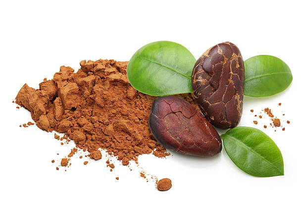 istock Cacao beans and powder isolated 579748366