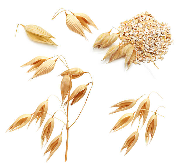 istock Oat ears of grain and bran isolated 579748538