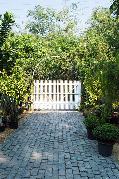 istock Wooden doors and brick walkway lined lump style Europe. 579754116