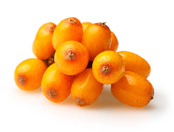istock Sea buckthorn isolated 579754612