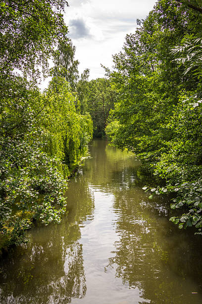 istock Water canal with overhanging trees - Spreewald, Germany. 579754614