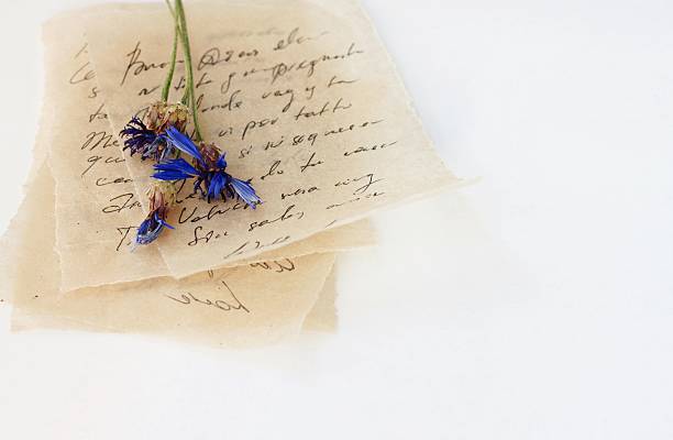 Pile of Love letters handwritten (unrecognizable) text, on beige vintage thin paper, dried blue flowers.