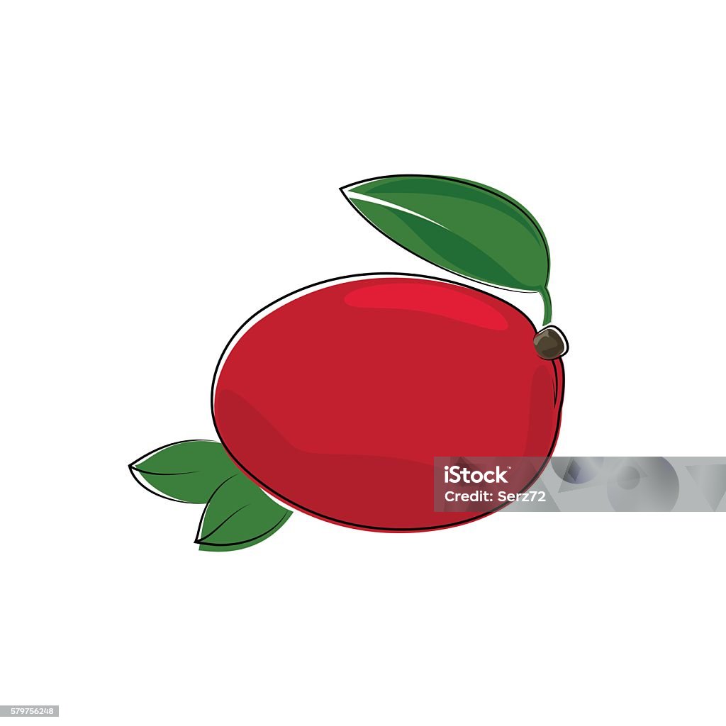 Red Mango Vector Red Mango Isolated On White Stock Illustration - Download Image Now ...