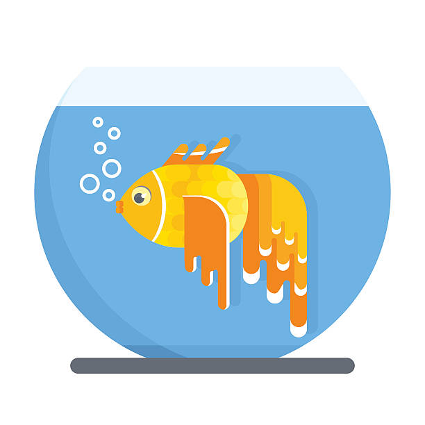 illustrazioni stock, clip art, cartoni animati e icone di tendenza di pesce rosso in acquario - fish tank