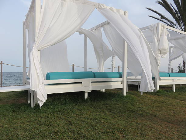 istock tanning bed Ibiza, Spain 579757250