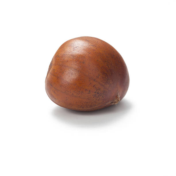 istock close up of fresh chestnut isolated on white background 579757918