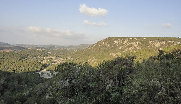 istock Karpass Peninsula nature (Karpaz, Dipkarpaz, Rizokarpaso, Karpasia). Northern Cyprus 579758830