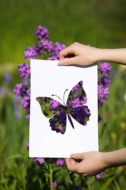 istock holding papercut miniature butterfly over blooming flowers 579760322