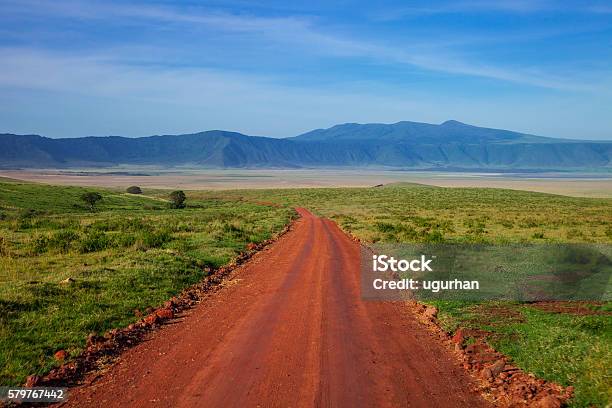 Ngorongoro Crater Stock Photo - Download Image Now - Ngorongoro Conservation Area, Africa, Dawn