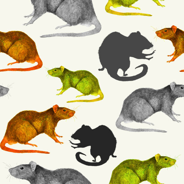 Seamless pattern with painted rats vector art illustration