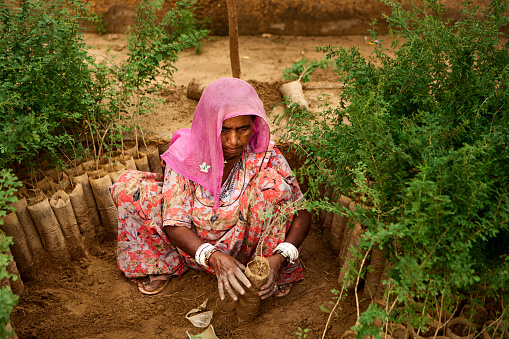 Indian woman working in the vegetable garden, Thar Desert, Rajasthan, India.http://bhphoto.pl/IS/rajasthan_380.jpg