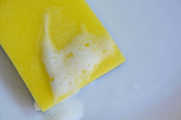 istock yellow scrub sponge wash on white plate 579769514