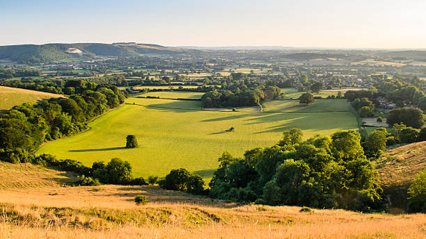 Blackmore Vale Rolling chalk hills rise over agricultural fields and pasture in North Dorset's Blackmore Vale, the area of the Stour Valley known to Thomas Hardy as the "vale of the little dairies". blackmore vale stock pictures, royalty-free photos & images