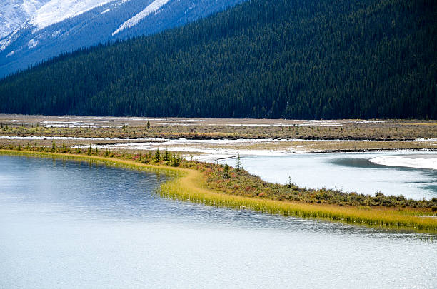 istock Canadian Rockies, Autumn Scenery of Icefields Parkway 579772464