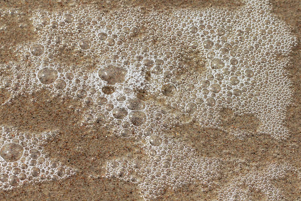 istock Bubbles in a sea foam from waves 579773472