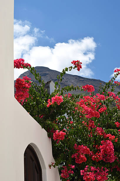 View of the volcano Stromboli through traditional house and pink flowers
