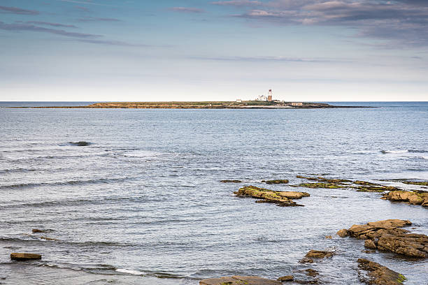 istock Coquet Island Nature Reserve 579776448
