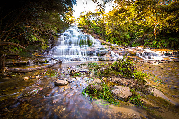 istock Waterfall in Blue mountains national park 579776696