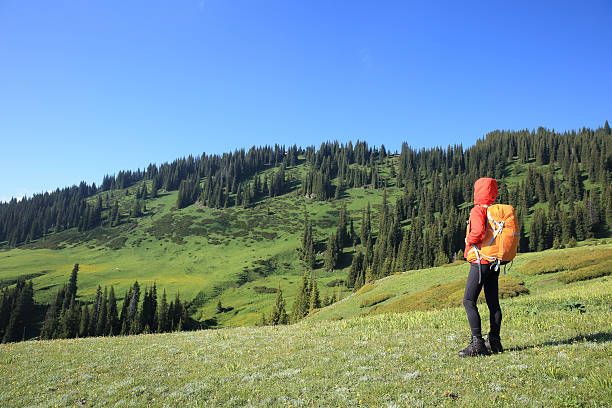 young woman backpacker hiking on beautiful mountain peak
