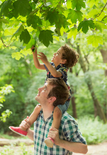istock Father carrying son on shoulders reaching for tree leaves 579980675