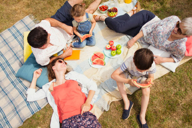 istock Overhead view multi-generation family enjoying summer picnic 579980701