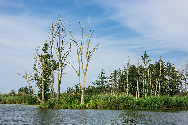 istock Landscape on the river Peene near Loitz 580089978