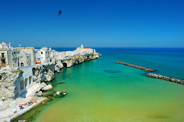 istock Spectacular view of Vieste town 580090298