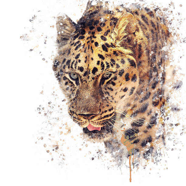 istock Portrait of Leopard watercolor 580094318