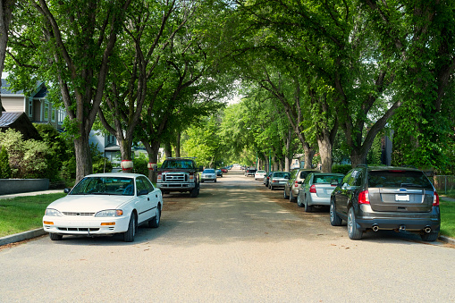Elm trees line a street in the Buena Vista neighborhood on the east side of Saskatoon, Saskatchewan.  Because this is one of the older neighborhoods in Saskatoon, the elm streets are fully mature and provide ample shade for the houses and cars that line the quiet residential roads in this part of the city.  In spite of Dutch Elm disease making its way across the prairie provinces, Saskatoon's elm trees are still standing and providing shade to many city streets.  Residential parking is on the street in this part of the city and many cars can be seen on both sides of the street.