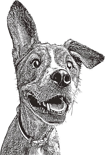 śmieszna, energiczna młody pies z miękką ucho - dog mixed breed dog puppy white background stock illustrations