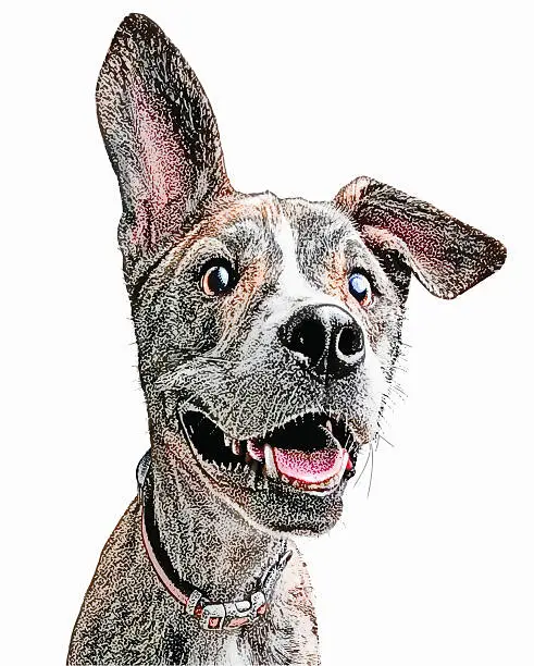 Vector illustration of Funny, energetic young dog with floppy ear