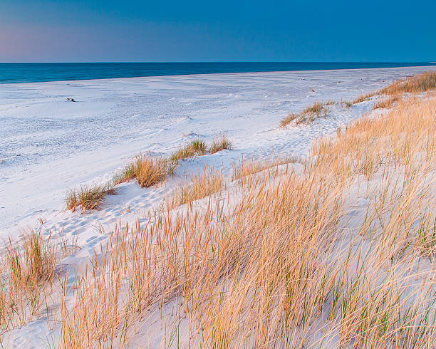 istock beautiful view of the coastal dunes 580101822
