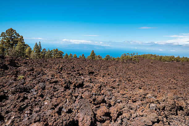 istock lava landscape Teide volcano Tenerife Canary 580101890