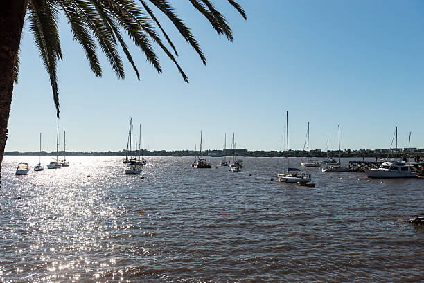 Colonia del Sacramento, Uruguay - July 7, 2016: View of nature and boats at the yacht club of Colonia del Sacramento at the La Plata River (Río de la Plata) in Uruguay