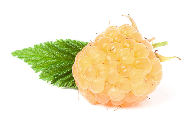 istock yellow raspberries with leaf isolated on white background macro 580108718